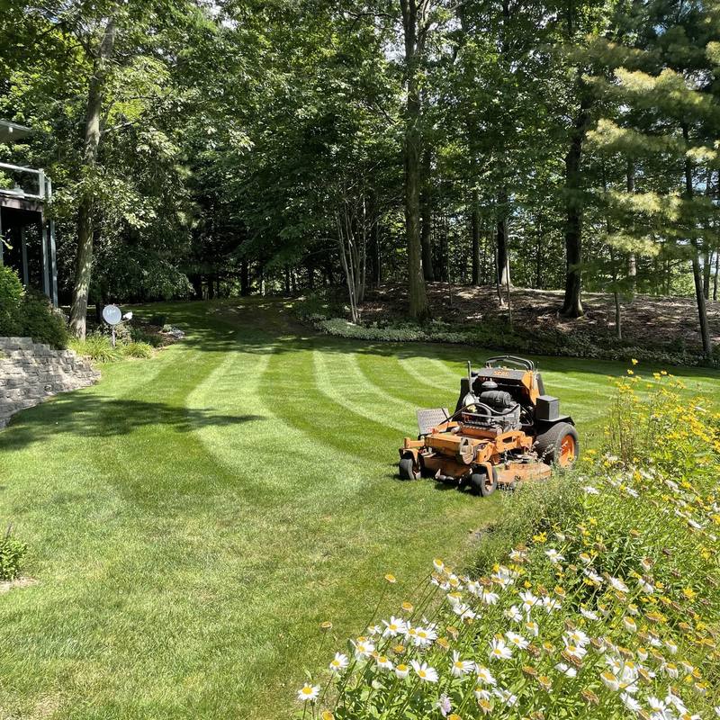 Stand-on mower cutting curved stripes in a shaded backyard