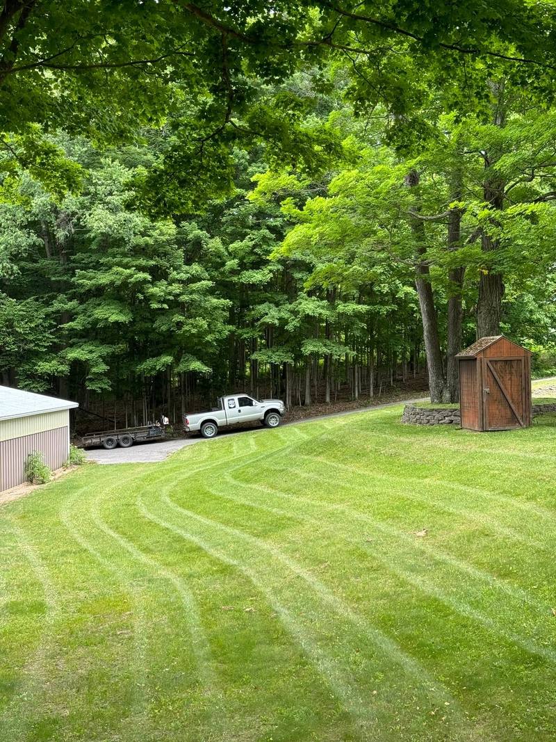 Curved mowing stripes on a wooded lot with a small wooden shed
