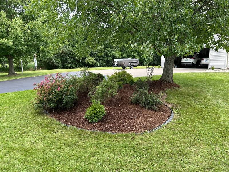 Edged mulch island with flowering shrubs near a driveway