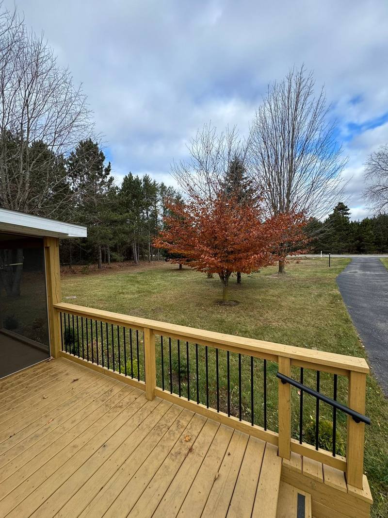 After: the same yard cleared of leaves, with the red maple and deck