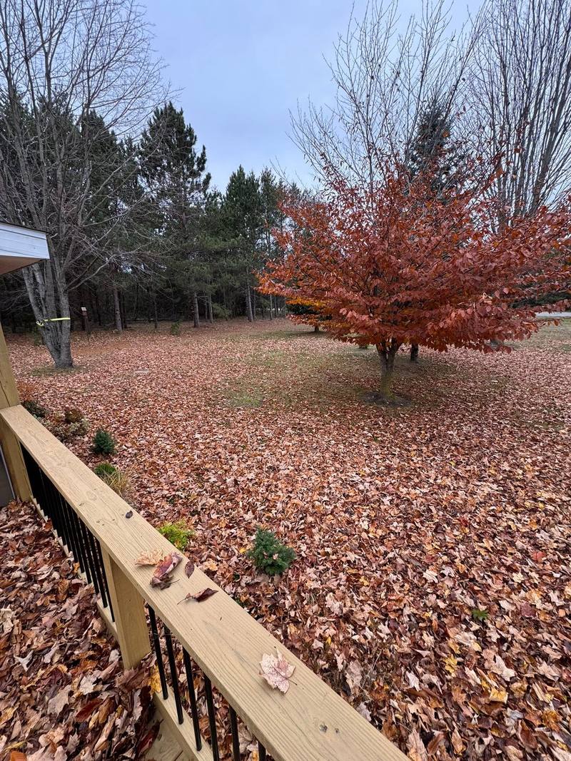 Before: yard covered in fallen leaves beside a new deck and a red maple