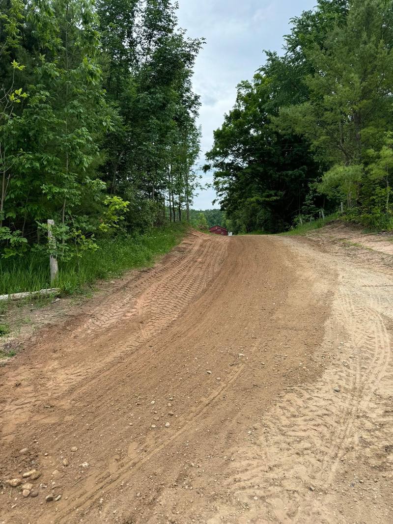 Freshly graded dirt drive through the woods