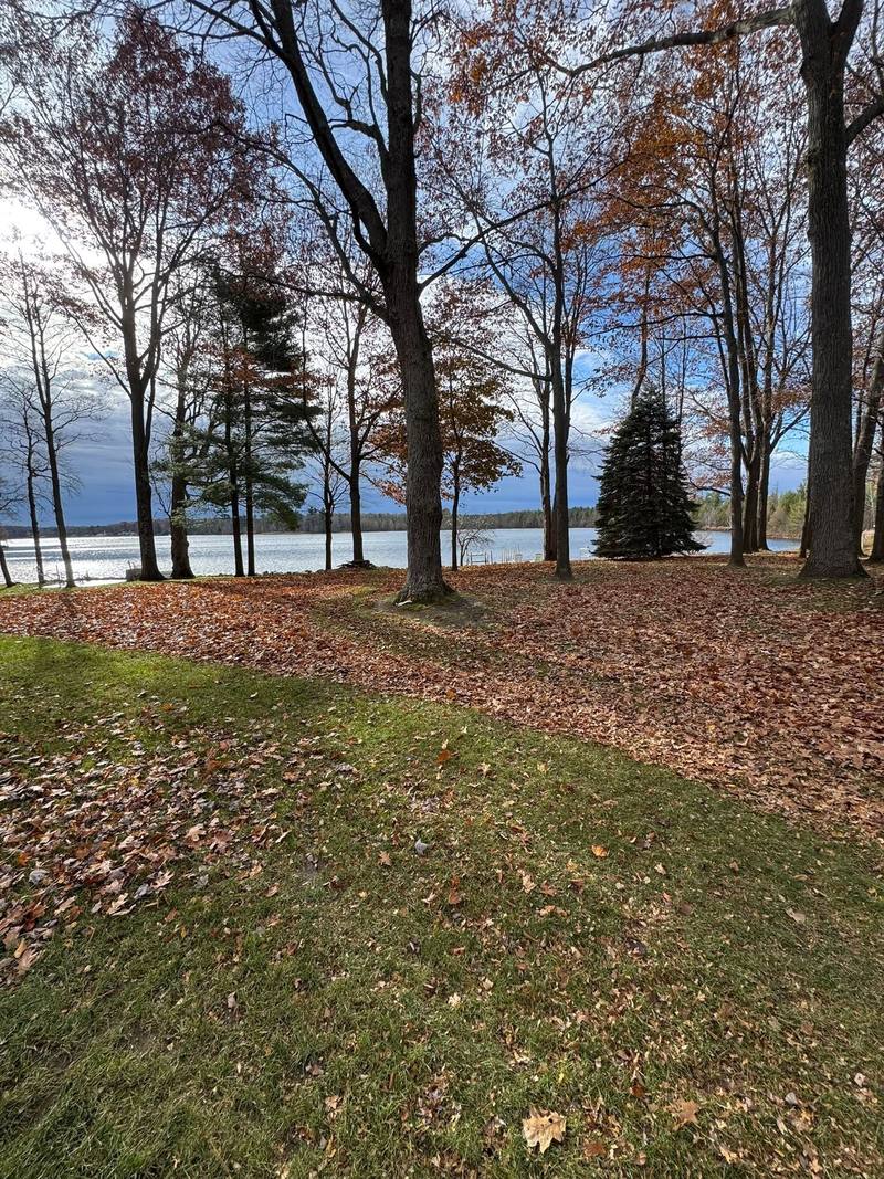 Before: lakefront yard covered in fall leaves