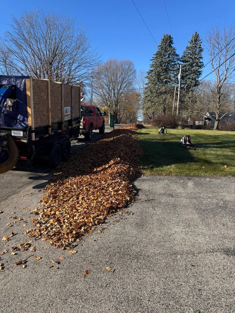 Long pile of leaves on a driveway, ready for the leaf vacuum