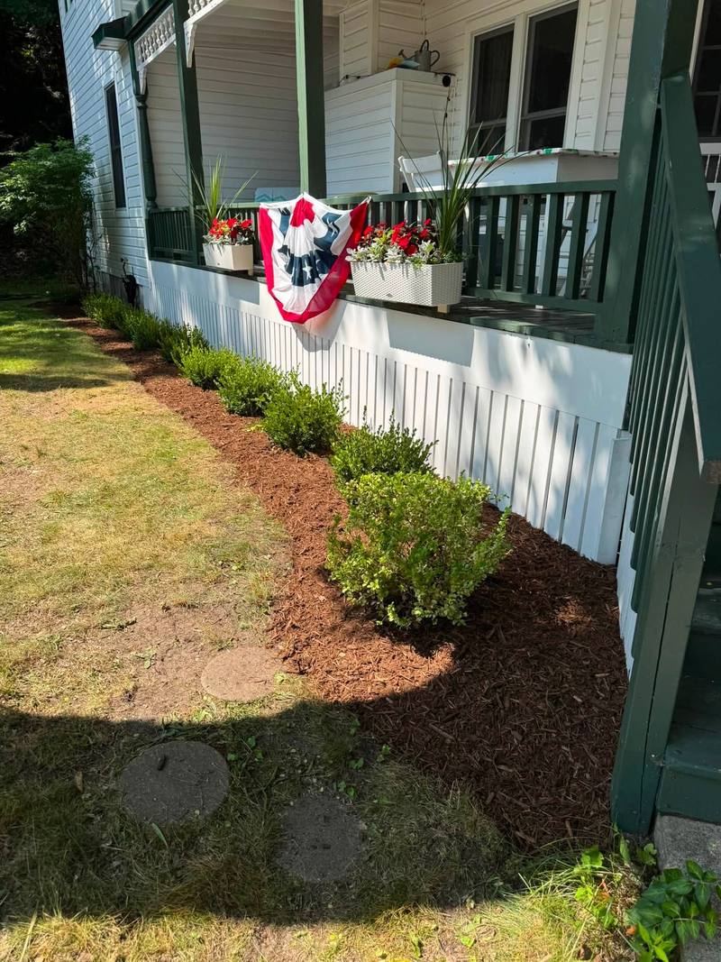 New mulch bed with round shrubs along a white porch