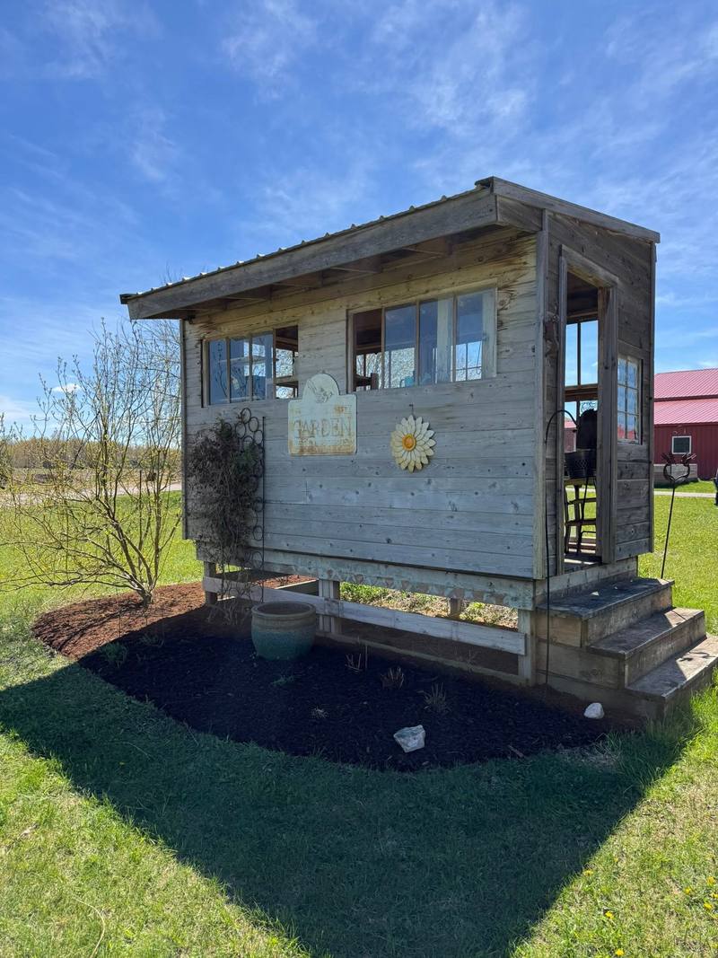 Fresh black mulch bed around a wooden garden shed