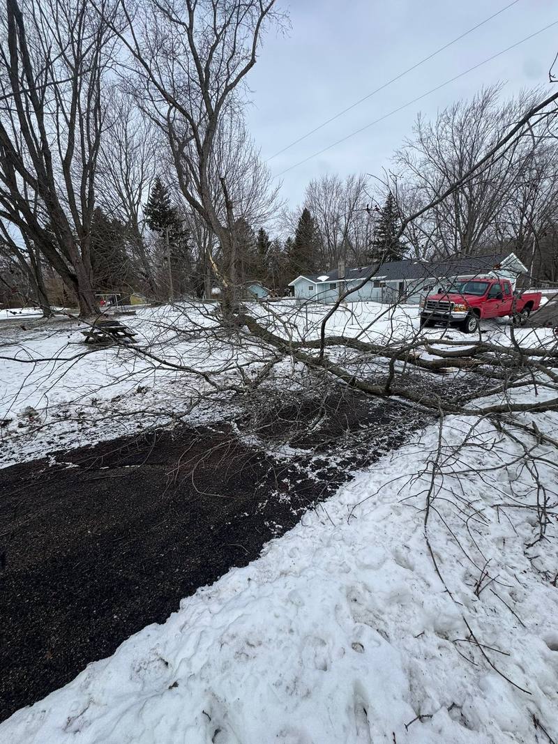 Broken limbs beside a cleared driveway after the storm