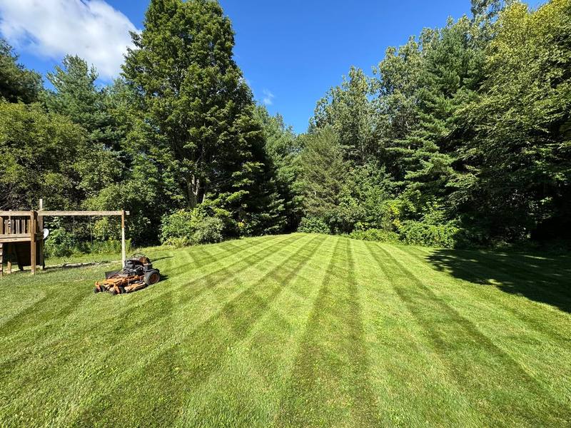 Striped backyard with a stand-on mower parked near the tree line