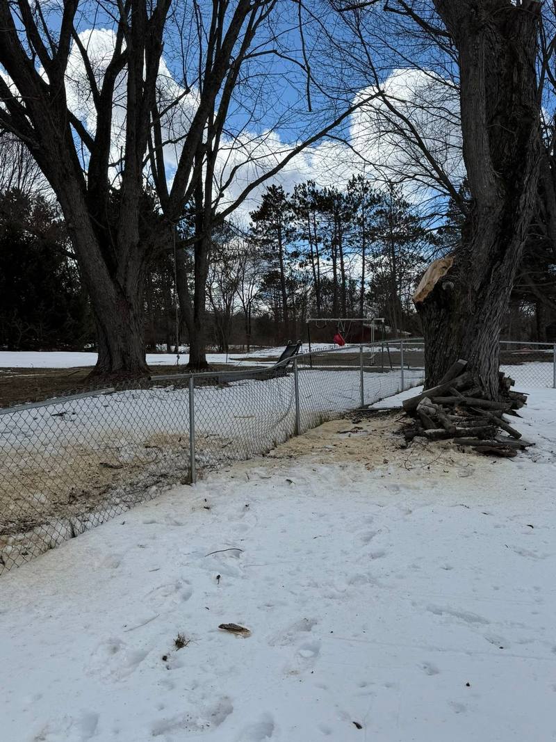Chain link fence under a storm-damaged tree after a temporary repair